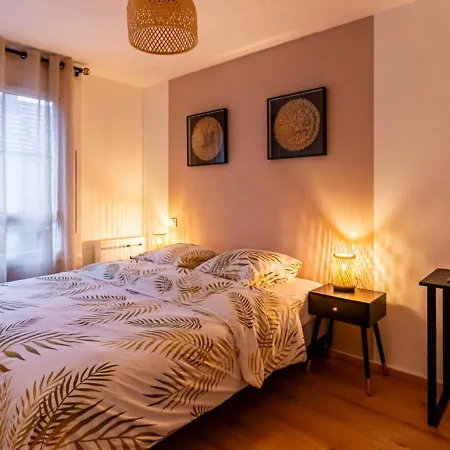 Le Carrousel Avec Parking Prive Appartement *