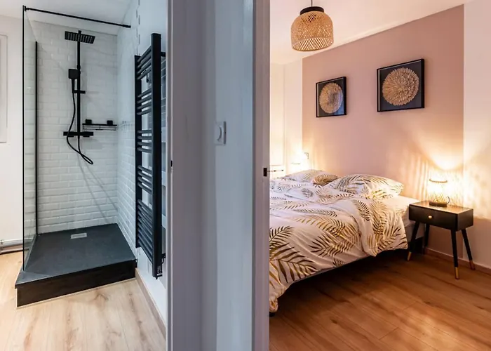 Le Carrousel Avec Parking Prive * Dijon